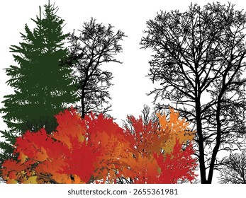 illustration with bare and red fall trees isolated on white background