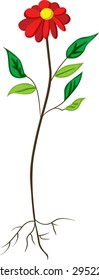 illustration of a bare rooted plant