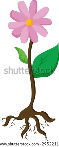 Similar – Image, Stock Photo Stems and leaves