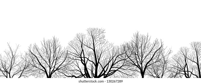 illustration with bare tree branches isolated on white background