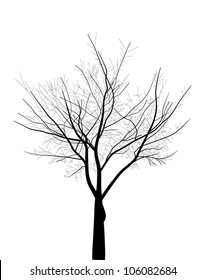 illustration with bare tree isolated on white background