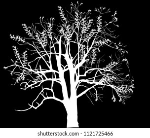 illustration with bare tree isolated on black background