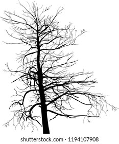 ilustración con árbol vacío aislado en fondo blanco