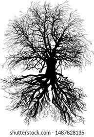 illustration with bare tree isolated on white background