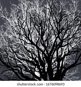 illustration with bare tree isolated on grey background