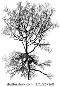 illustration with bare tree isolated on white background