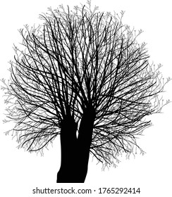 illustration with bare tree isolated on white background