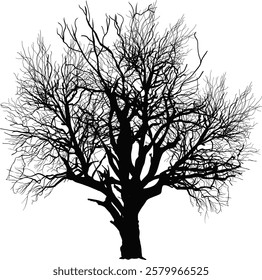 illustration with bare tree isolated on white background