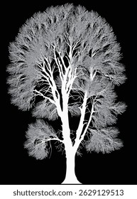 illustration with bare tree isolated on black background