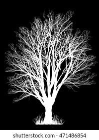 ilustración con árbol vacío aislado en fondo negro