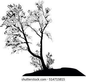 illustration with bare tree isolated on white background