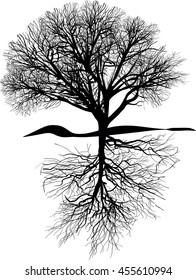 illustration with bare tree and root isolated on white background