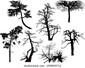 illustration with bare trees isolated on white background