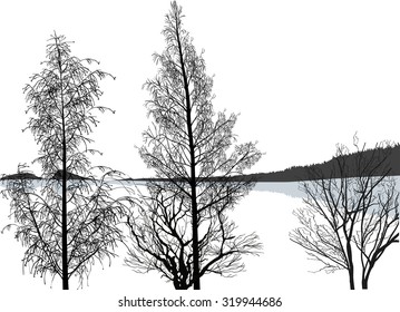 Illustration mit bloßen Bäumen in der Nähe des grauen Sees