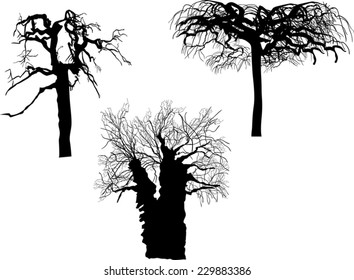 illustration with bares tree isolated on white background