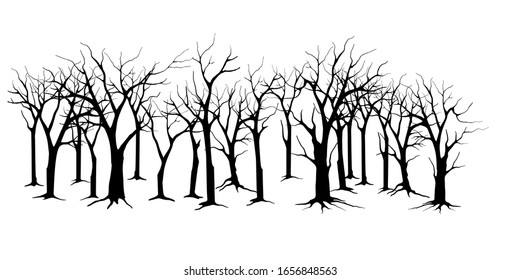 illustration of a barren and arid forest. molt trees vector isolated.