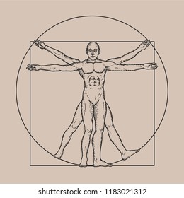 Ilustración basada en el hombre vitruviano de Leonardo Da Vinci - ilustración clásica proporción hombre en vector