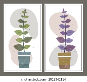 ilustración de una albahaca en una olla