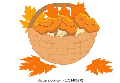 illustration of a basket with autumn leaves, chanterelle mushrooms on the leaves, white background