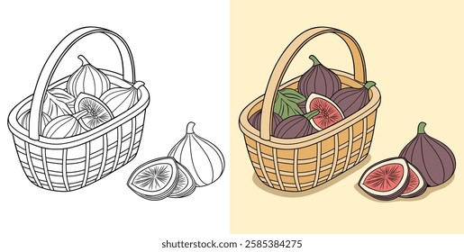 Illustration of a basket containing fresh figs, shown in both black-and-white and colorful renderings, emphasizing their natural appeal