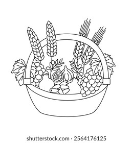 Illustration of a basket with fruits, grapes, dates, pomegranate, rye, wheat, figs in line style.