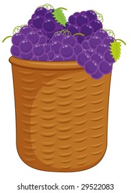 illustration of a basket of grapes