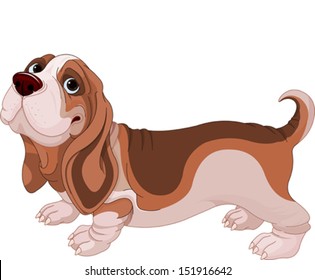 Illustration of Basset Hound breed dog