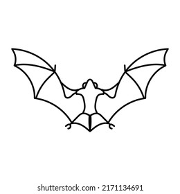 illustration of a bat animal