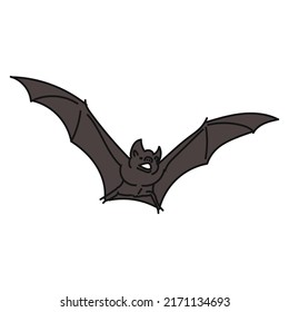 illustration of a bat animal