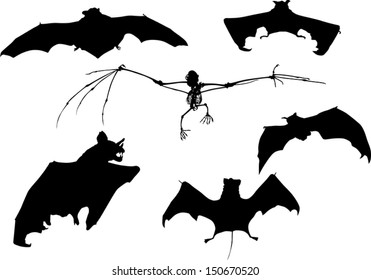 Illustration mit Fledermaussammlung einzeln auf weißem Hintergrund