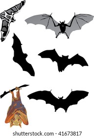 illustration with bat collection isolated on white background