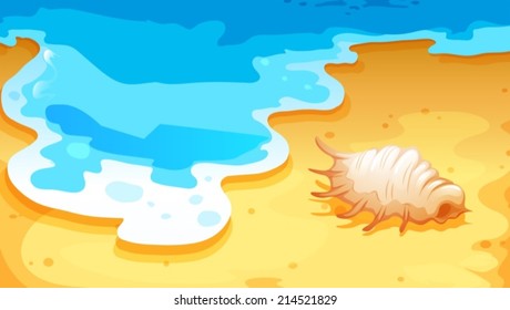Illustration of a beach with a shell