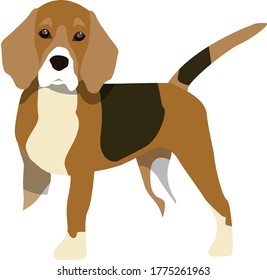 Illustration of a beagle can be a bright  pattern for different products or beautiful detail in design project.