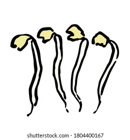 Illustration of Bean sprouts: Illustration like hand drawn illustration with ink and brush