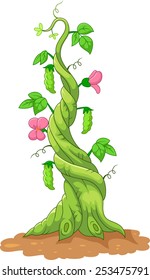 Illustration Of A Bean Stalk