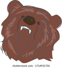 Illustration of bear in comic style mode vector awesome