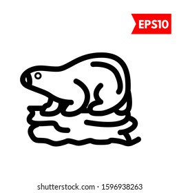 illustration of bear flat icon