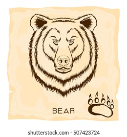Illustration of the bear head and paw print on the poster.