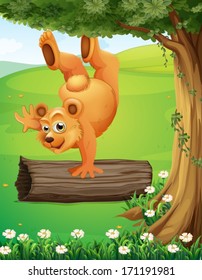 Illustration of a bear at the hilltop playing near the tree