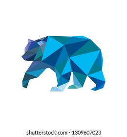 illustration bear modern
