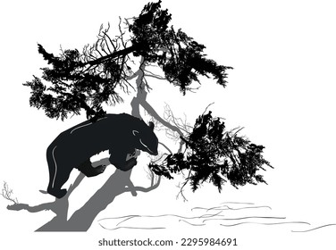 illustration with bear and pine tree isolated on white background