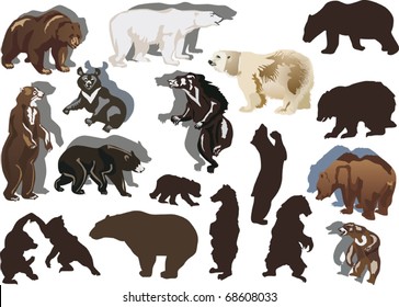 illustration with bears isolated on white background