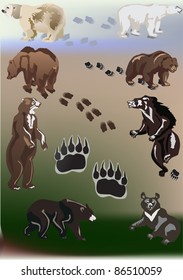illustration with bears and tracks collection