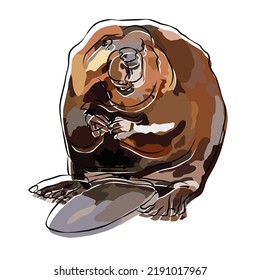 Illustration: Beautiful american beaver image.