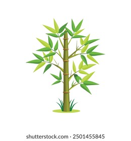 An illustration of a beautiful bamboo plant with leaves for your design