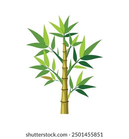An illustration of a beautiful bamboo plant with leaves for your design