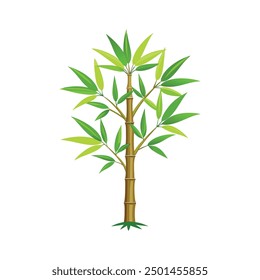 An illustration of a beautiful bamboo plant with leaves for your design