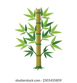 An illustration of a beautiful bamboo plant with leaves for your design