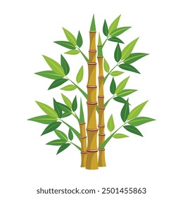 An illustration of a beautiful bamboo plant with leaves for your design
