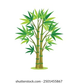 An illustration of a beautiful bamboo plant with leaves for your design